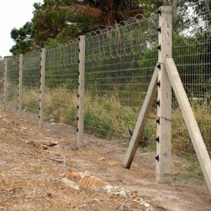 Electric Fence and Razor Wire